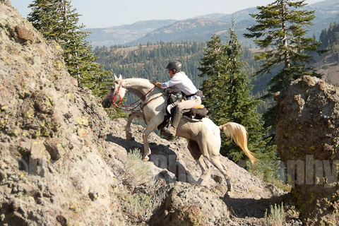 D_056