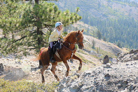 S_0536