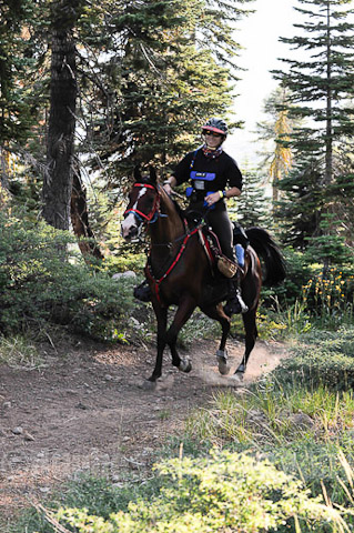 M_014